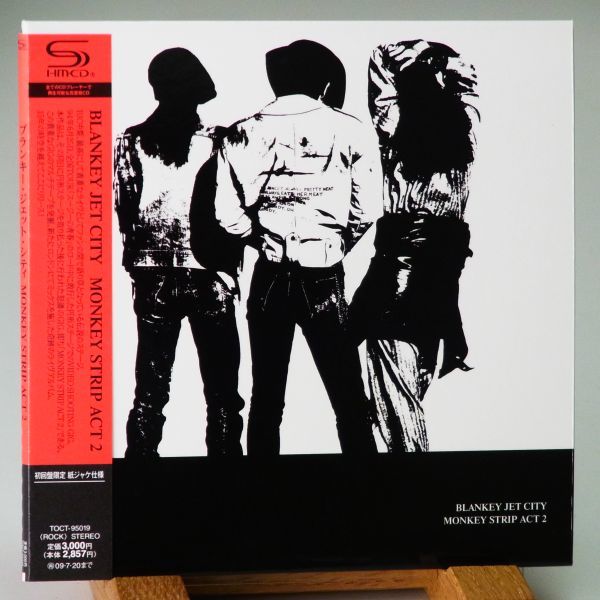 BLANKEY JET CITY 魂の全曲レビュー｜さと BLANKEY JET CITY DVD3枚セット　ほぼ新品