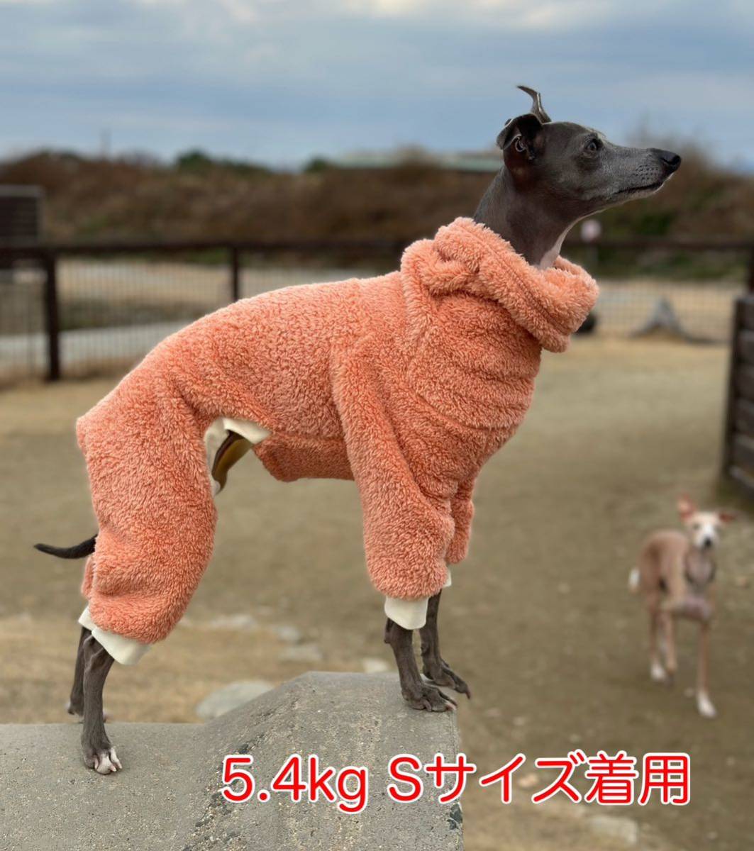 チコリ様専用ページ イタグレ服 ハンドメイド 【公式通販】