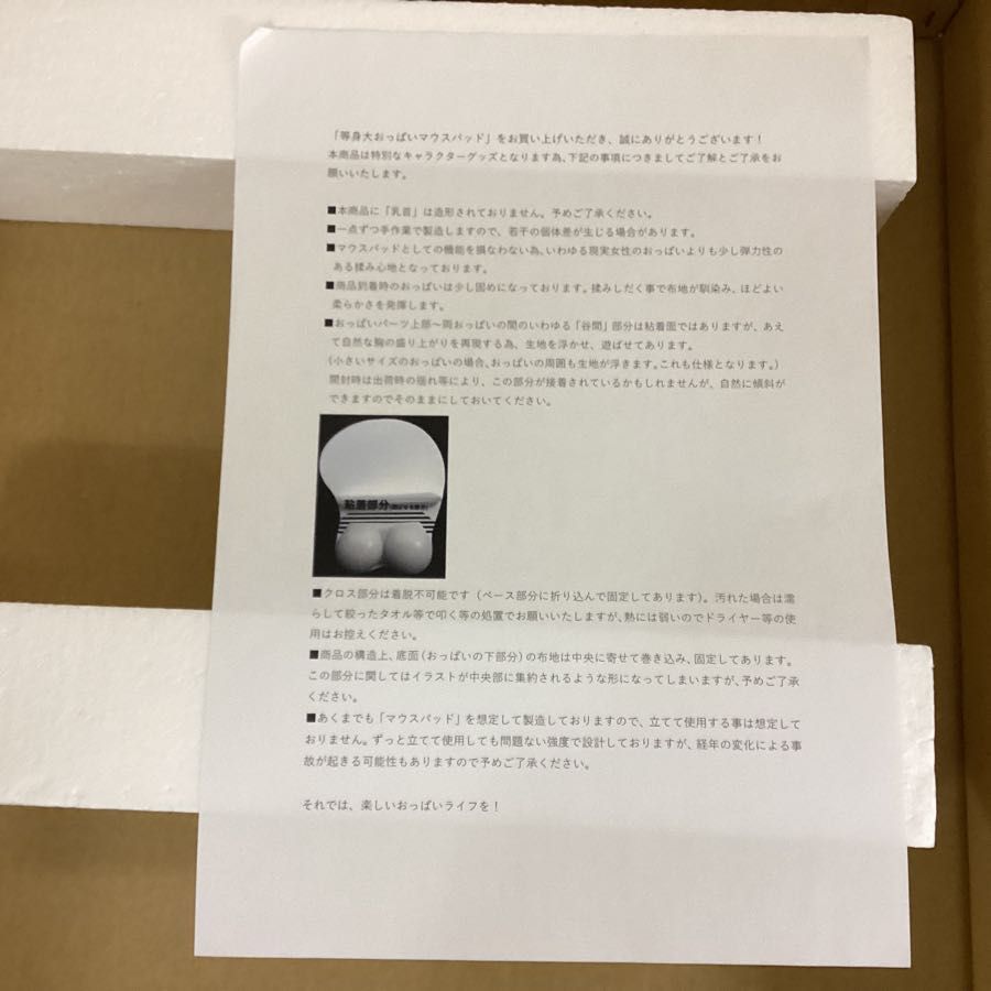 同梱不可】現状 ソフトガレージ 閃乱カグラ 両奈 等身大おっぱいマウス 