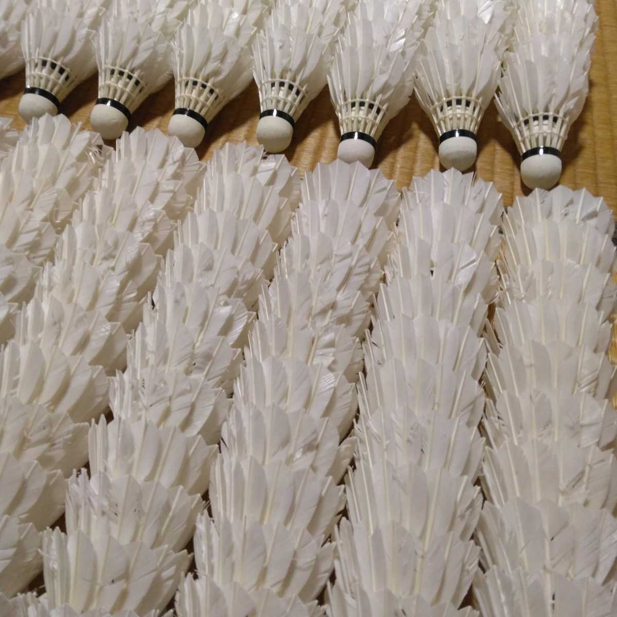 バドミントンシャトル240個 ボロ バドミントンシャトル 240個 送料1200