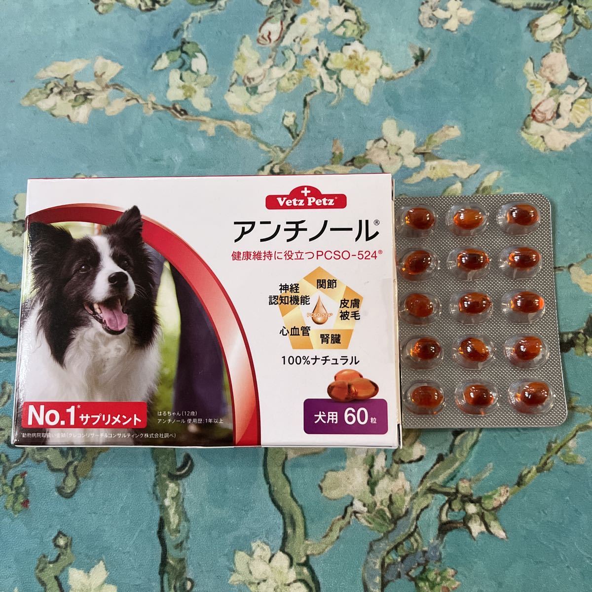 アンチノール Petz アンチノール Vetz 90粒公式 プラス 猫の