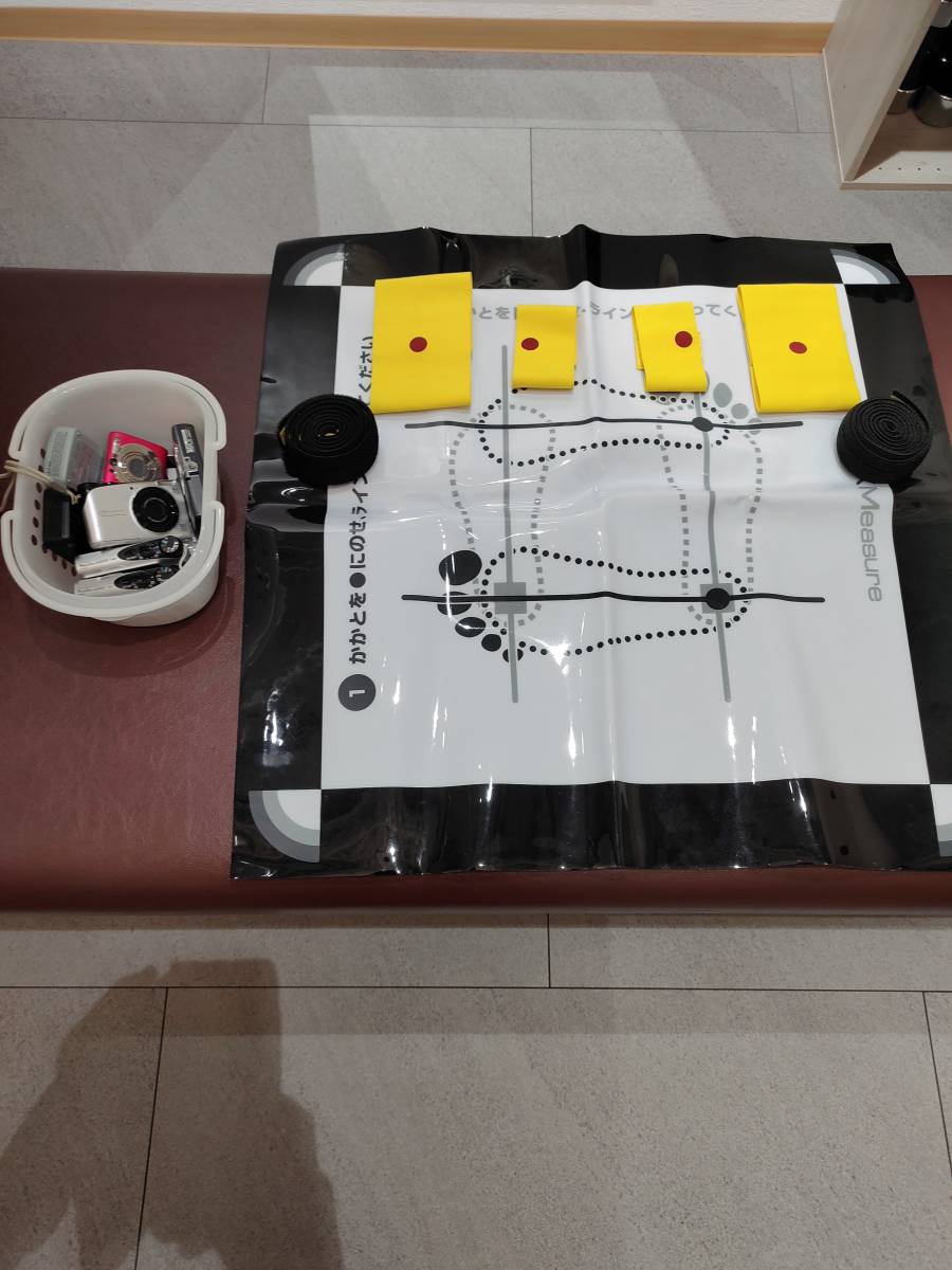 ゆがみーるlite　姿勢　計測　整体