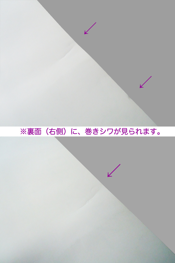 ●【希少!】 矢萩喜従郎 ジャコメッティ バルテュス 1997年 ポスター●HIDDEN JAPAN 作品集 展覧会 田中一光 横尾忠則 杉本博司 アルベルト_9