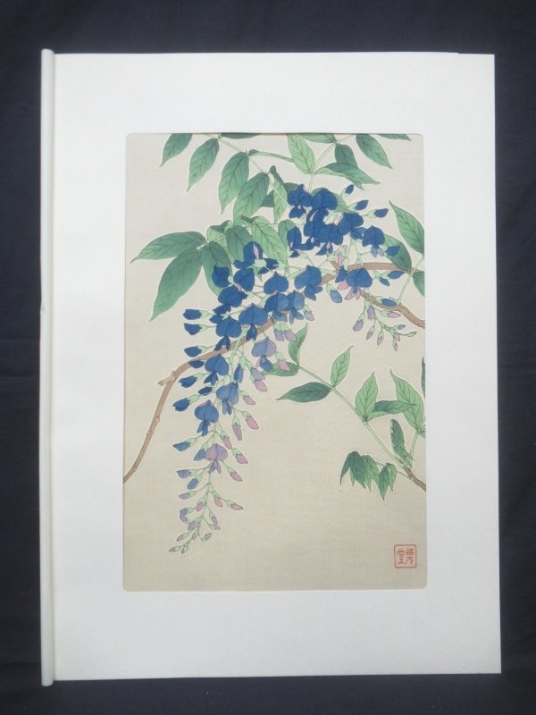 HOT，人気セール E1515 河原崎奨堂 15 日本の花こよみ 藤 木版画 芸艸堂版(木版画)｜売買されたオークション情報、yahooの商品情報をアーカイブ公開 - オークファン 木版画