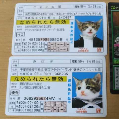 なめ猫 なめんなよ 三毛猫 カードコレクション 免許証 パロディー 