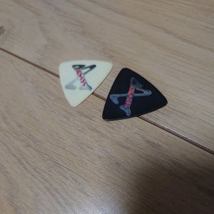 TAIJI ピック 沢田泰司 D.T.R 大きかれ X JAPAN