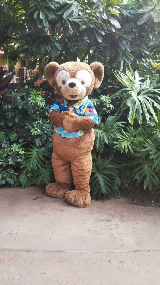 アウラニディズニーリゾート　予約代行_3