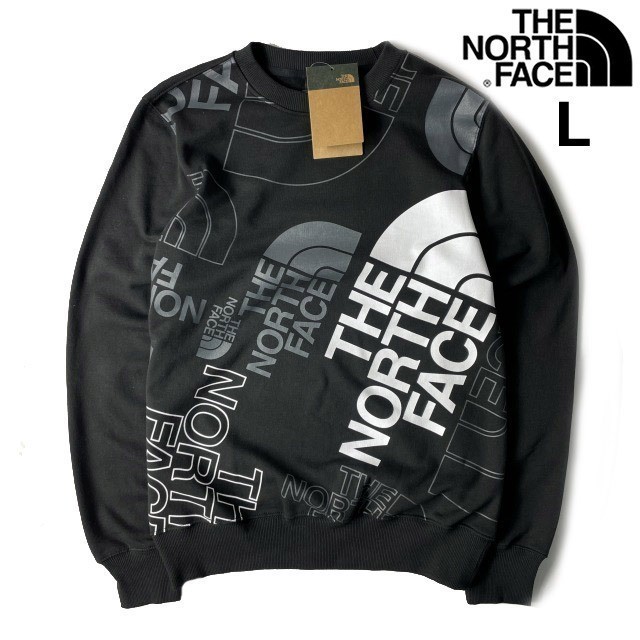1円～!売切!【正規新品】THE NORTH FACE GRAPHIC INJECTION CREW プルオーバー スウェット US限定 レア 裏起毛 グラフィック(L)黒181130-28