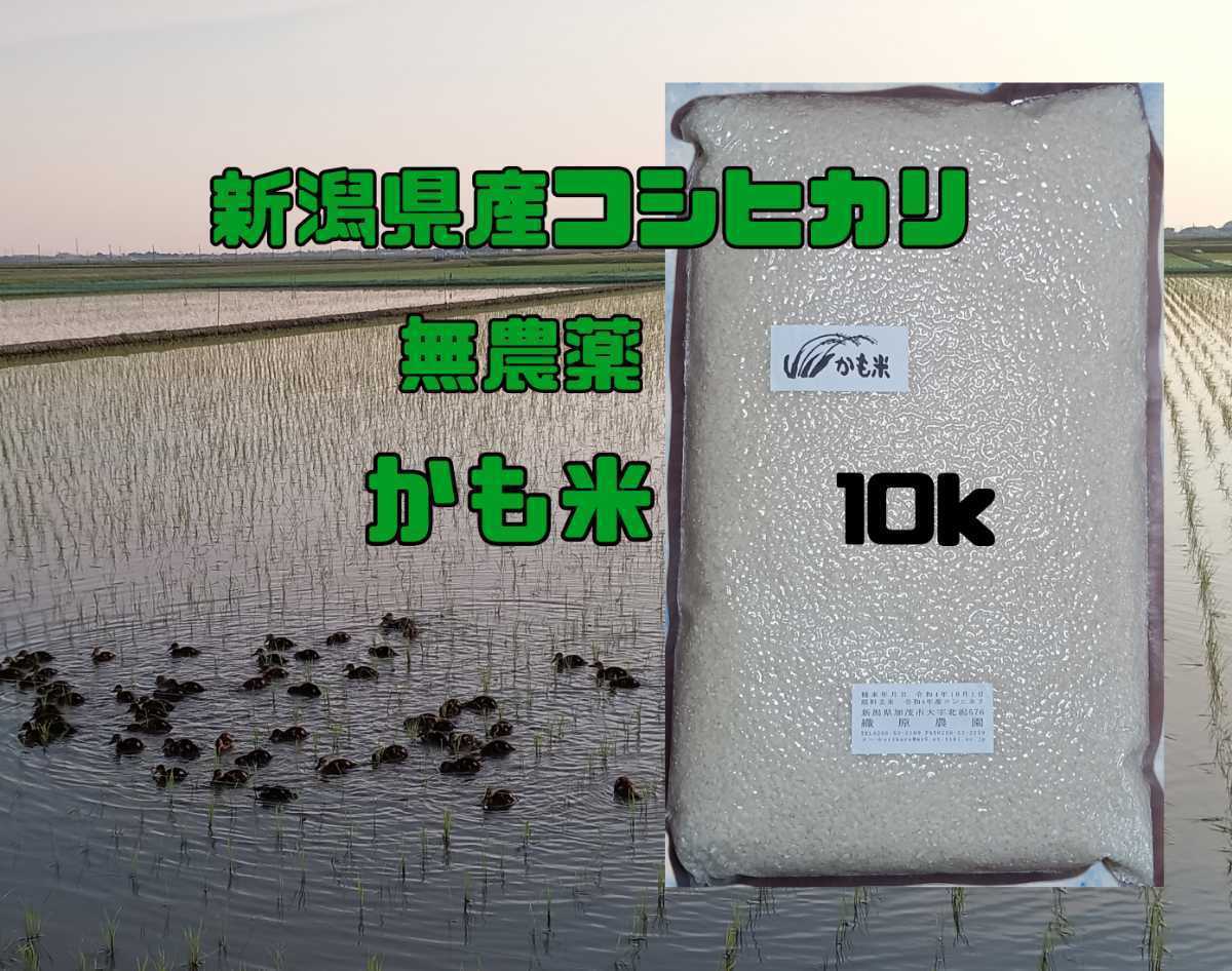 無農薬米新潟県産コシヒカリ10k