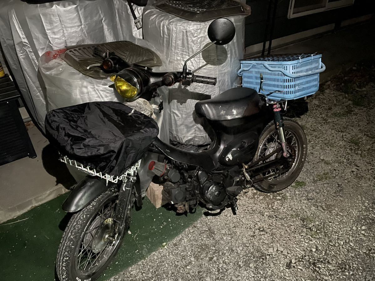 豊富な，人気】 ☆リトルカブ☆実働☆50CC☆今人気