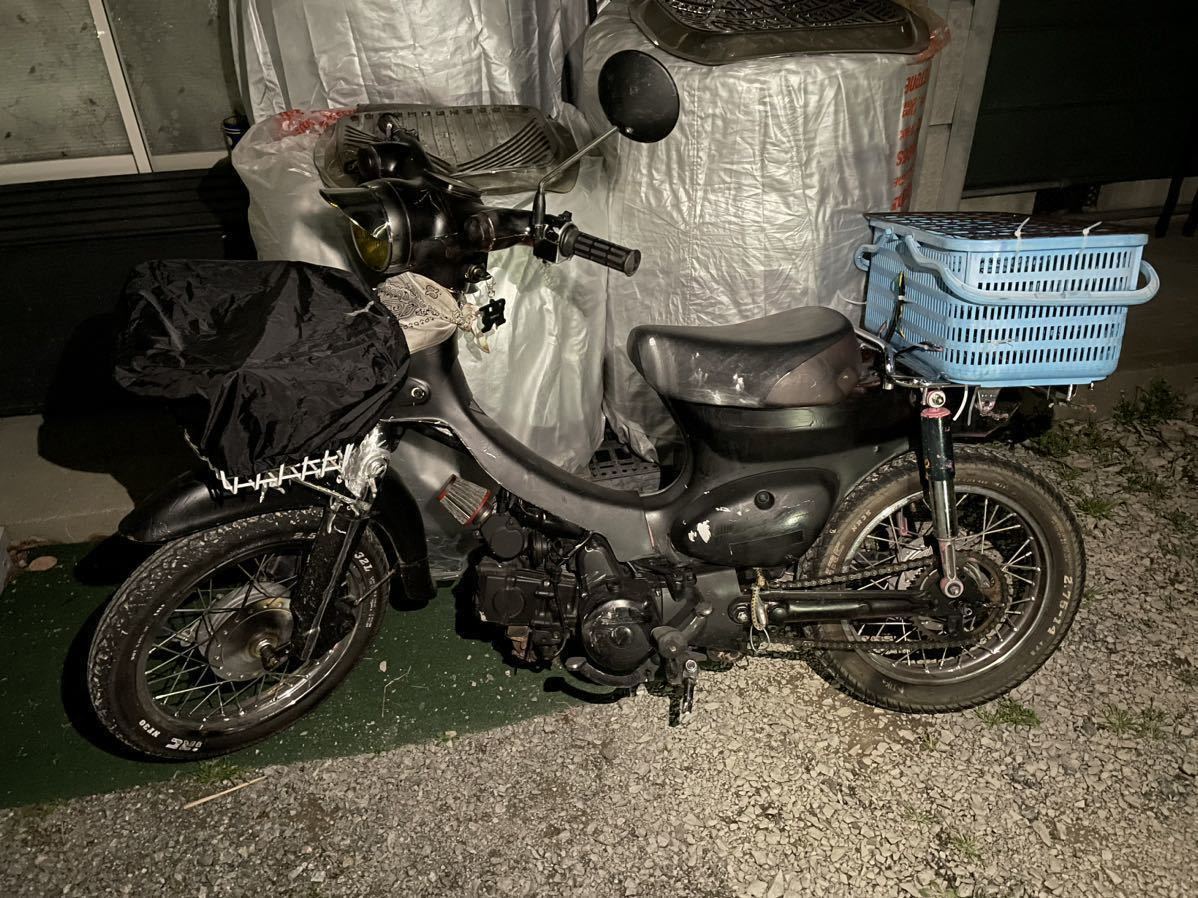 豊富な，人気】 ☆リトルカブ☆実働☆50CC☆今人気