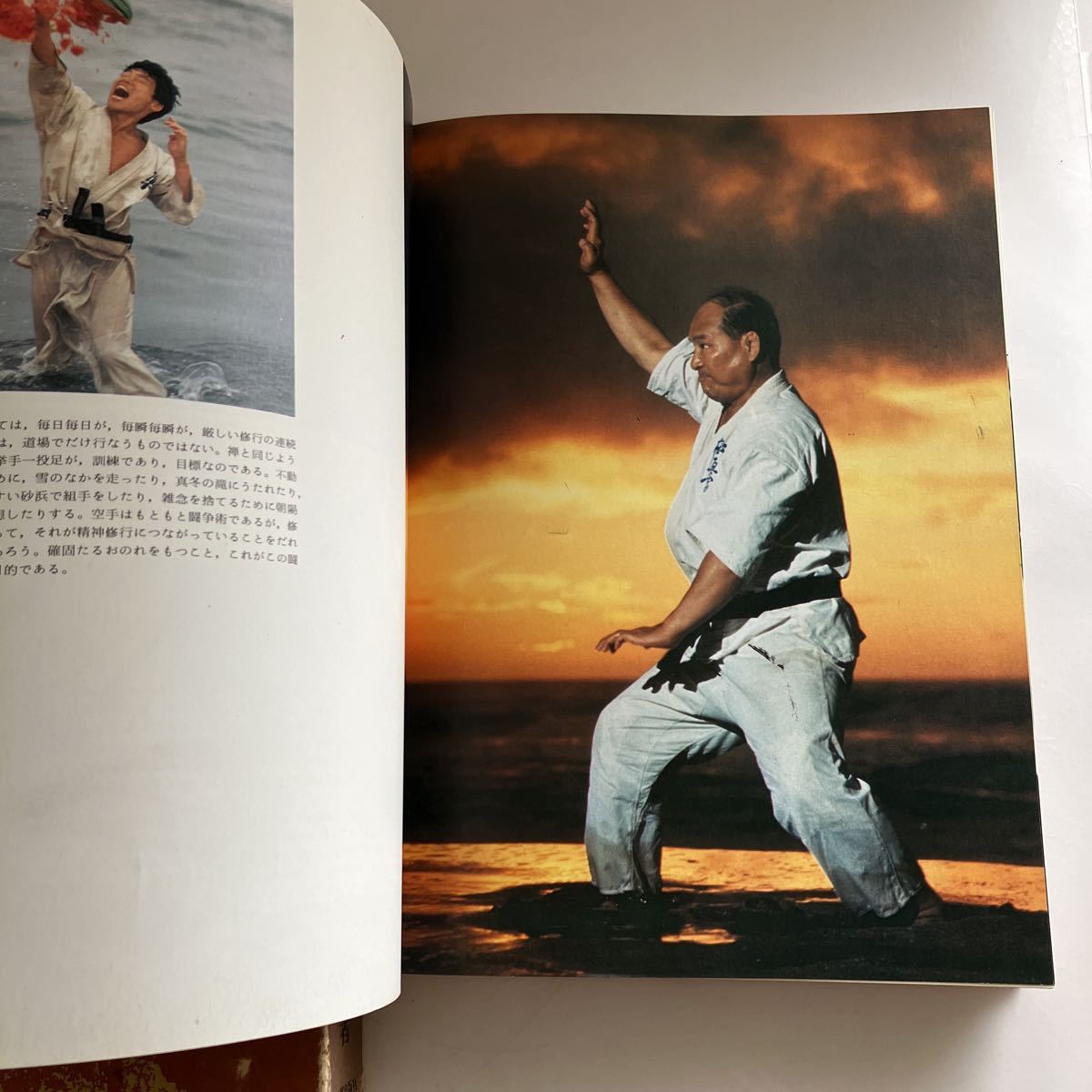 大山倍達 秘伝極真空手 | 日本語版 is Karate 即決送料無料