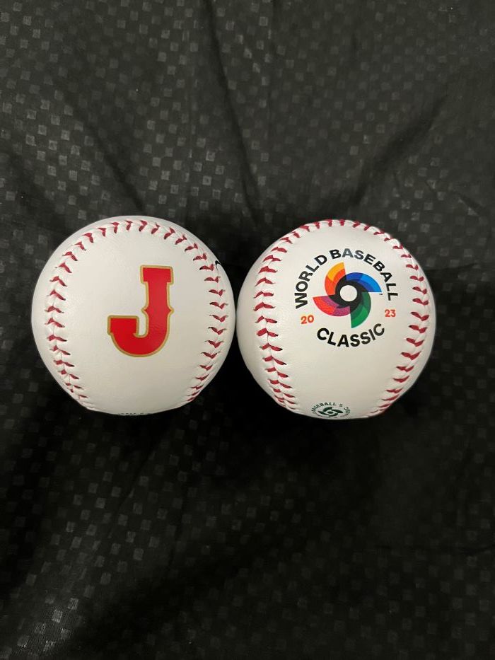 大勢＃15＆大城卓三＃24 巨人2023WBC侍ジャパンW直筆サイン WBCJロゴ