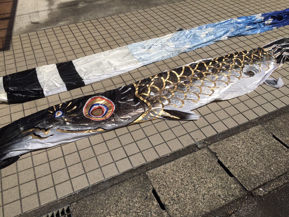 フジサワ鯉のぼり ゴールデン黒 4m フジサワ鯉のぼり フジサワ