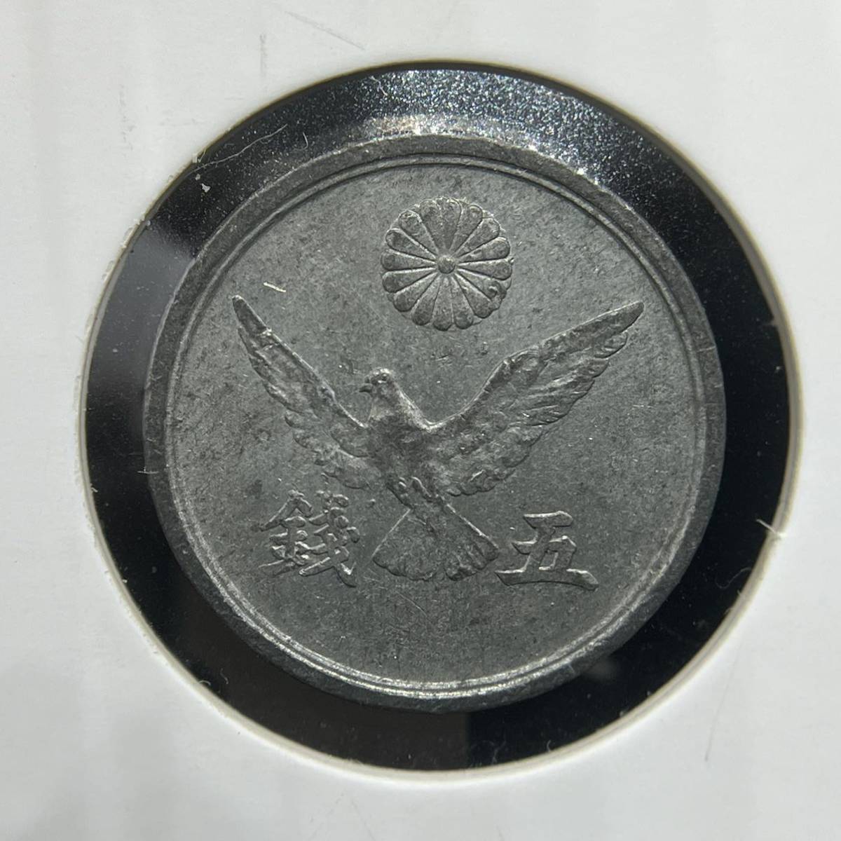 最期の五銭 【錫貨】昭和21年 鳩5銭錫貨幣（1946年）ハト5銭 日本政府 