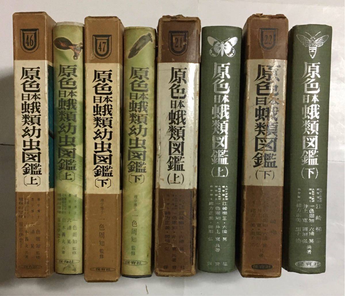 原色日本蛾類図鑑 上・下 原色日本蛾類幼虫図鑑 上・下 4