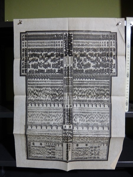 PSA10 ポケモンカード アーマルド δ-デルタ種 PCG7 033/052 ホロンの