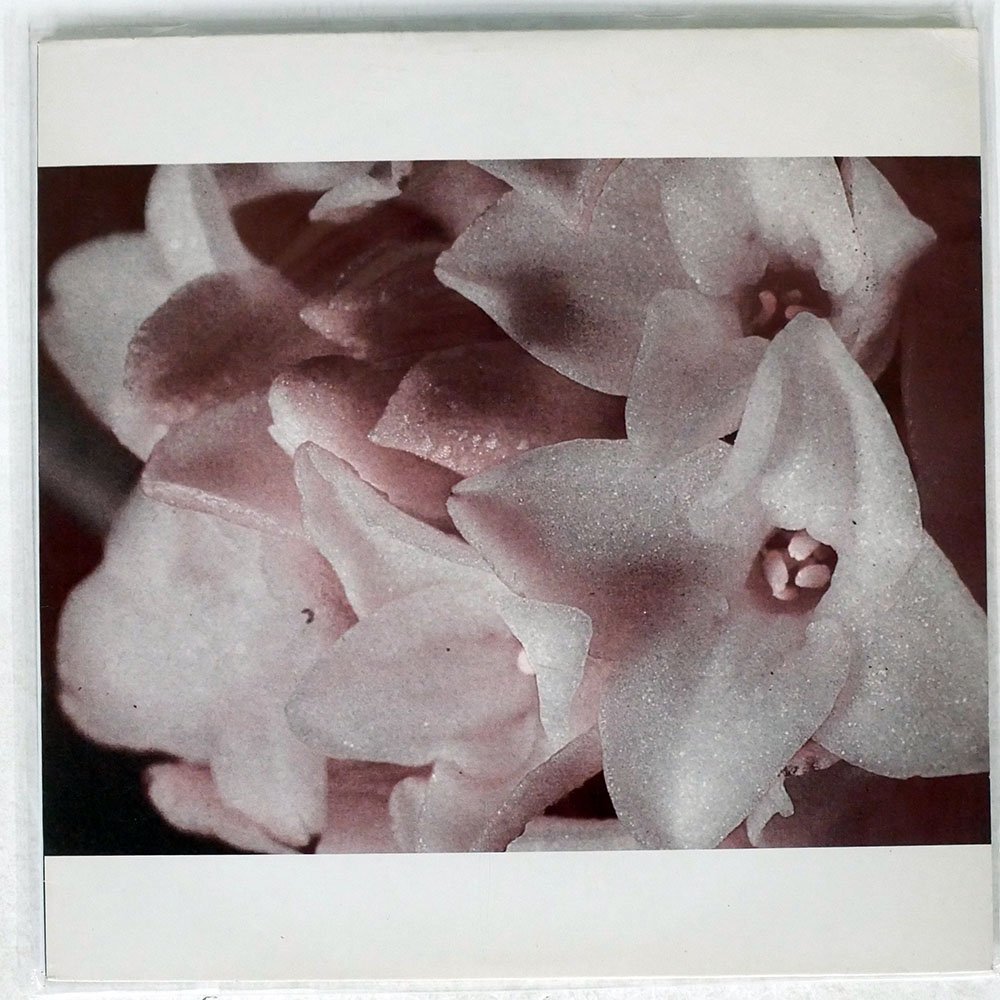 MASONNA/MASONNA VS. BANANAMARA/V A N I L L A VANILLAREC3