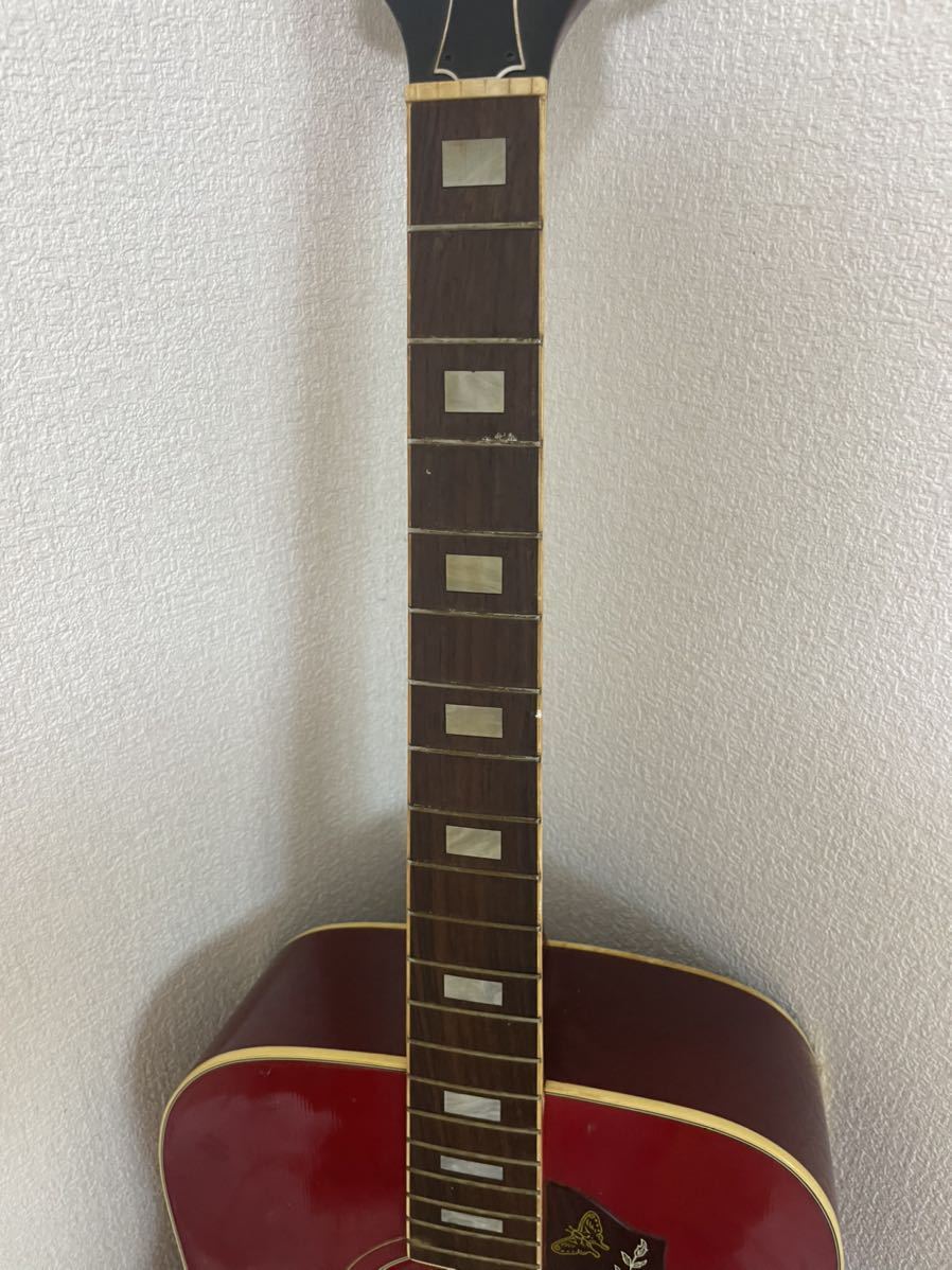 Greco グレコ 0 W-303 HummingBirdモデル ジャパンビンテージ
