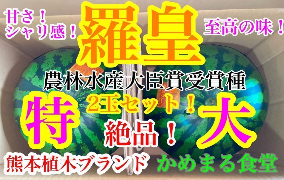 特大セット】大玉スイカの最高傑作【羅皇】4Lサイズ2玉セット（19〜