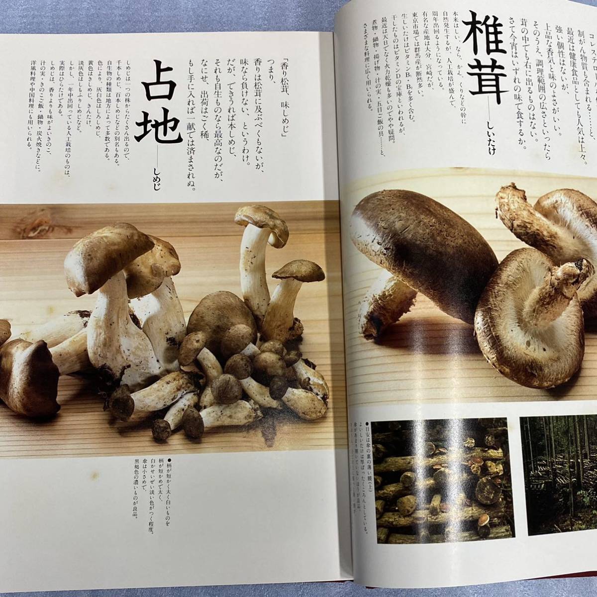 味匠（あじのたくみ）伝承1000年の料理 味匠（あじのたくみ）伝承1000年の料理 公式通販 - | レシピ 新入荷