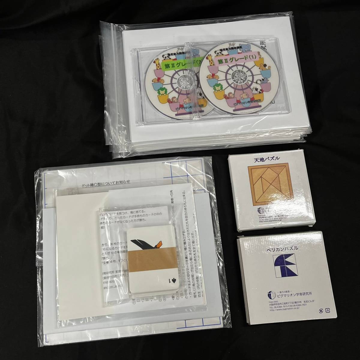 BEK341A ピグマリオン パズル 教材 等 まとめ