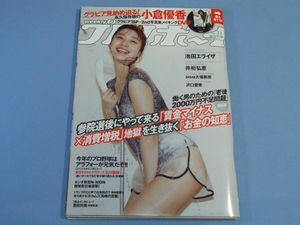 新品未開封 週刊プレイボーイ 井桁弘恵 DVD 付き クリアファイル 週