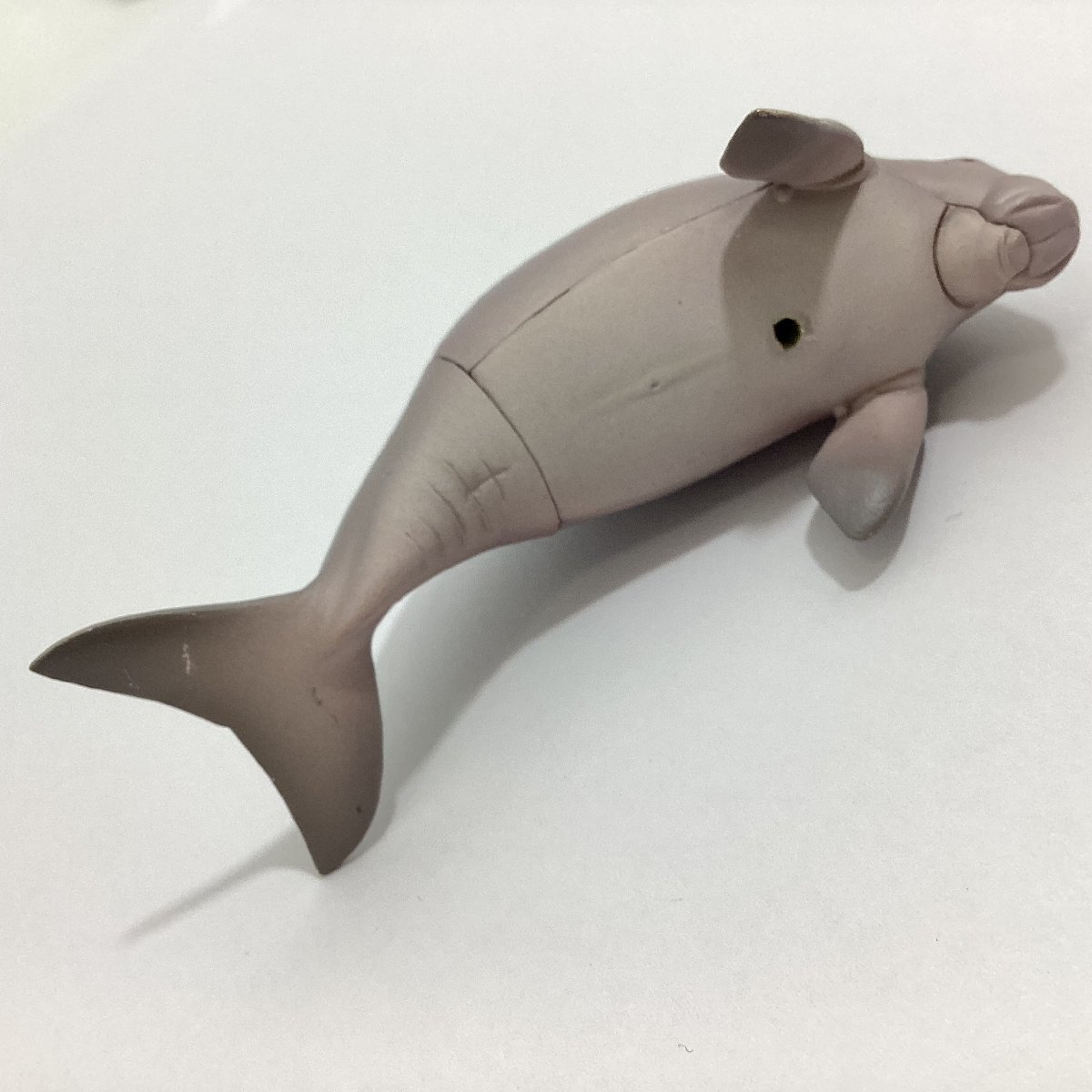 ネイチャーテクニカラー 鳥羽水族館立体コレクション3