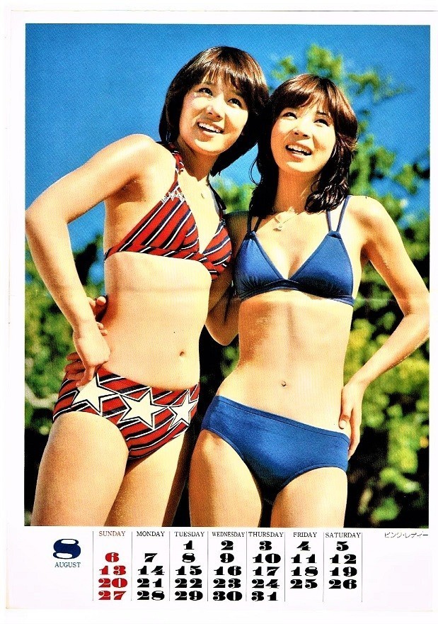 P10 ピンクレディー 岩崎宏美 新沼謙治 水着ビキニ ポスター 36cm