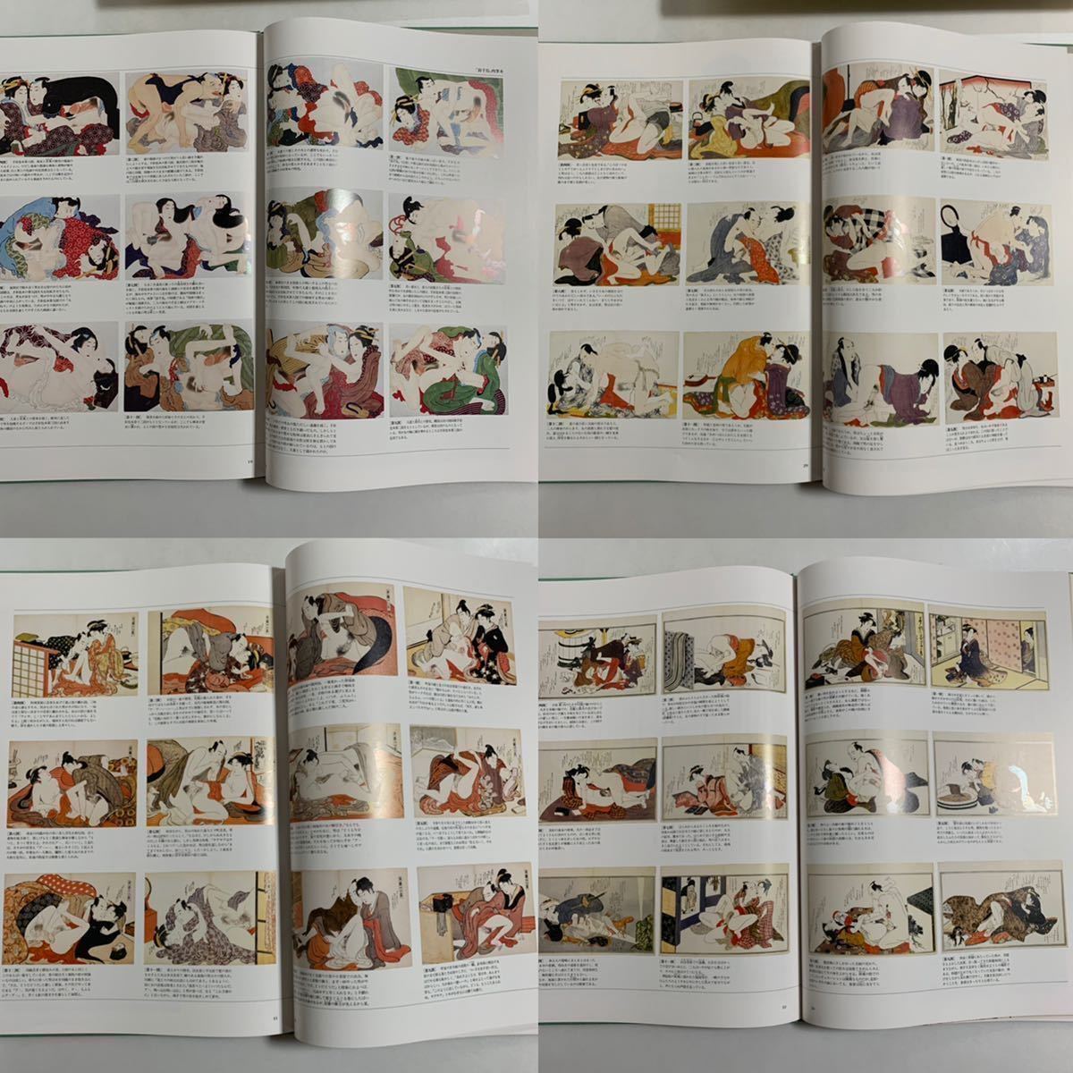 大型美術本 浮世絵秘蔵名品集 浪ちどり 学研研究社図版全48枚・解説