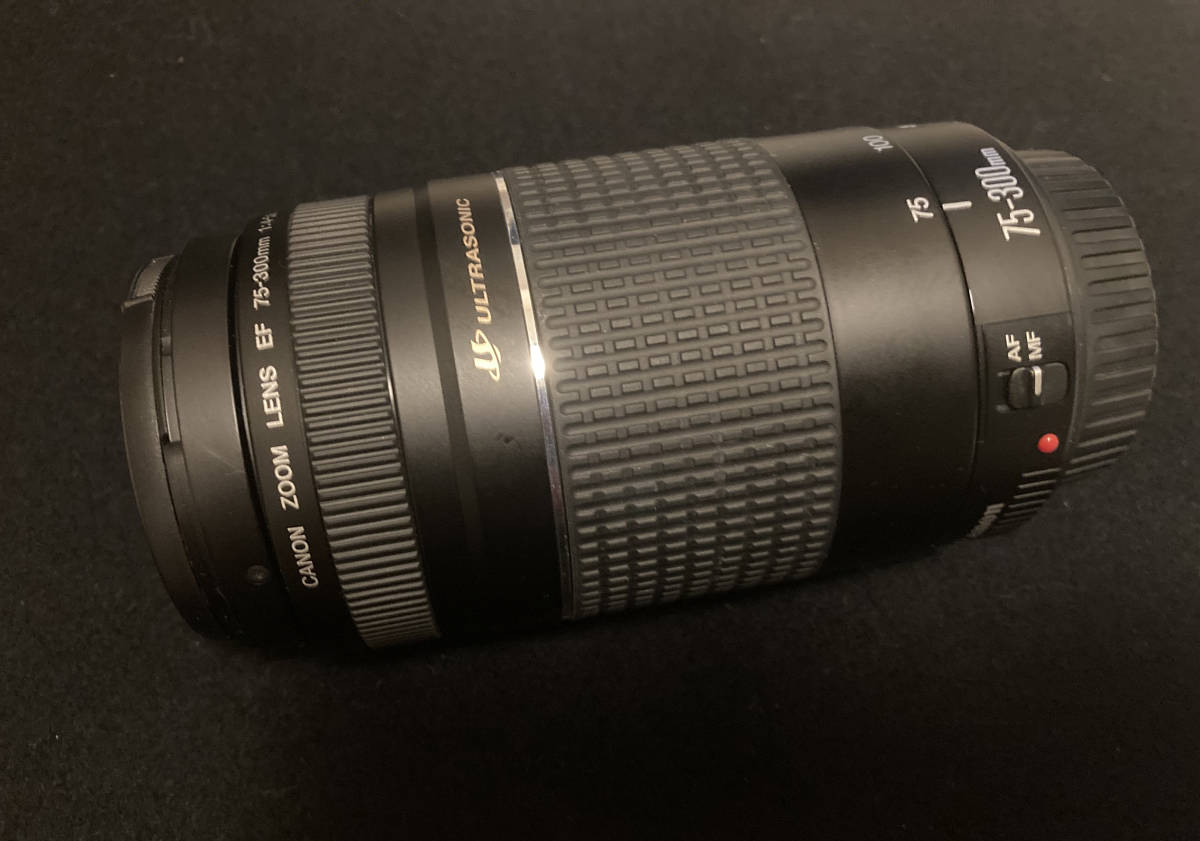 Canon ZOOM LENS EF 75-300mm f4-5.6 III USM キャノン レンズ Canon