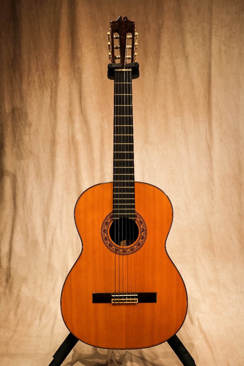 DEGAS EL made instruments ED-200 H hand used ED200 guitar musical 