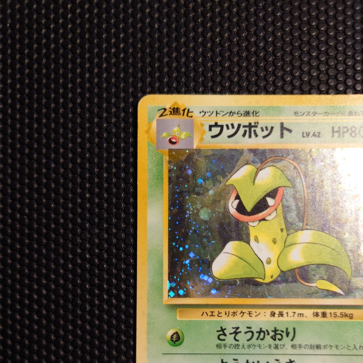 ウツボット ポケモンカード PMCG 第2弾拡張パック ポケモンジャングル 