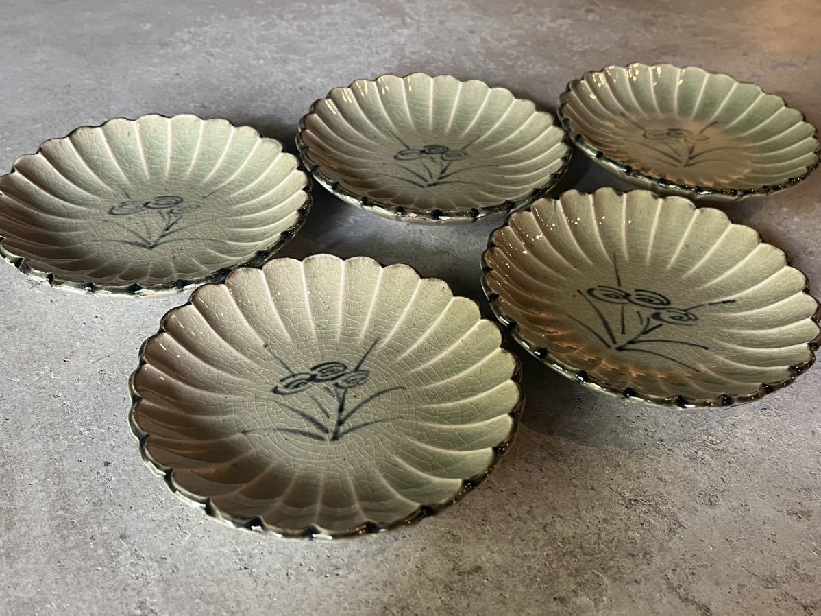 □人間国宝 加藤卓男 幸兵衛窯 御深井釉 菊皿 五客 共箱