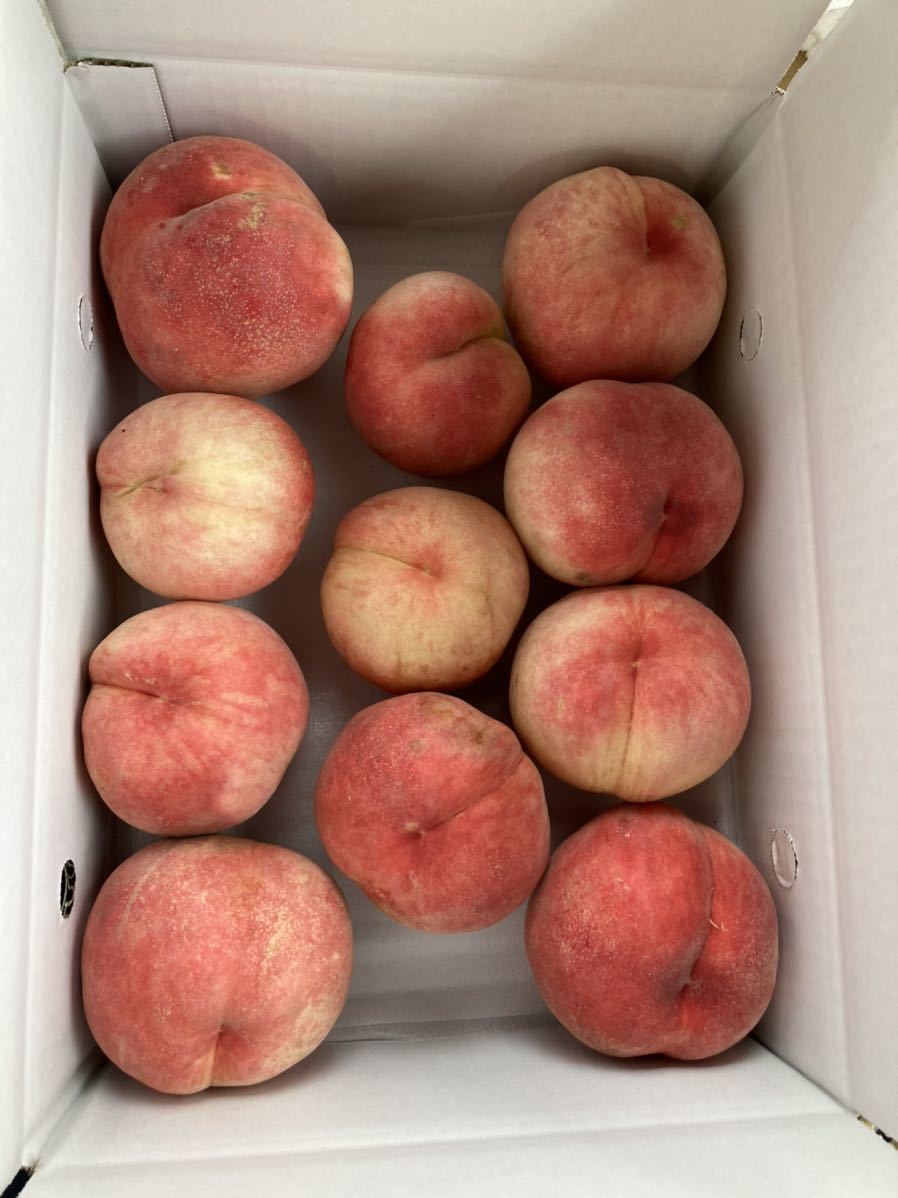 948.福島産 朝採り硬め桃 箱込み5kg 家庭用 常温発送