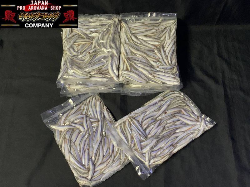 5ｋｇまとめて！！代引き可冷凍きびなご500g×10袋!! 検：キビナゴ