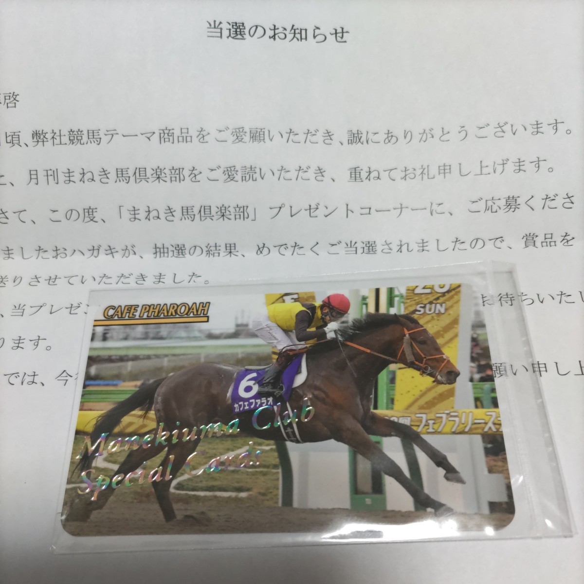 まねき馬レインボー 1799エピファネイア Yahoo!オークション -「まねき