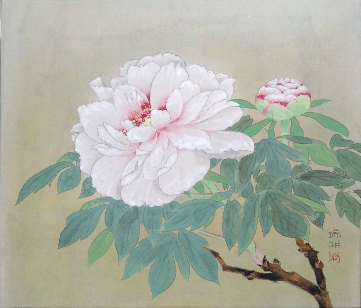 3『真作 日本画/日本芸術院院友 田中瑞耕【白牡丹 ボタン図】直筆 
