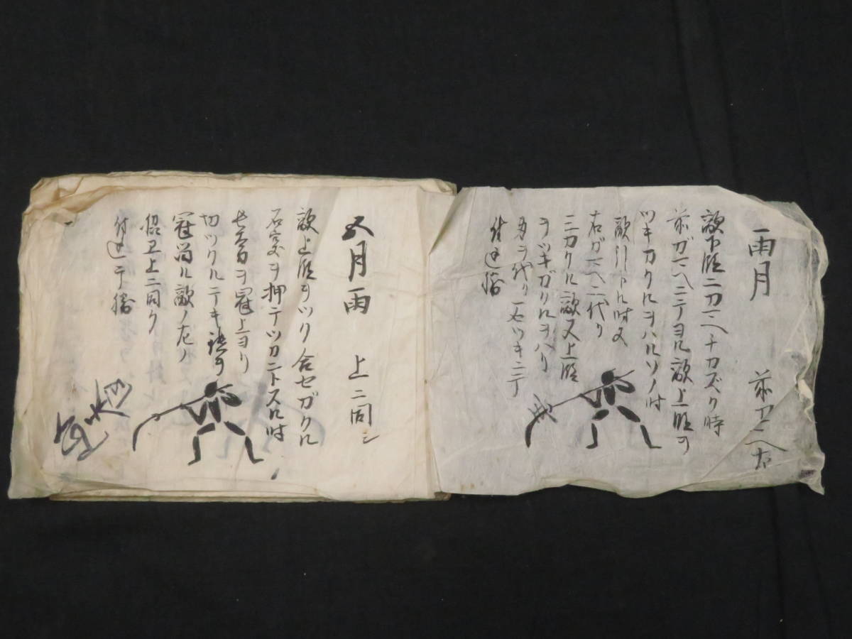 絵入り 伝書 堀口源師流 薙刀 仕合 乱風 水月心 雨月 肉筆 古文書 写本