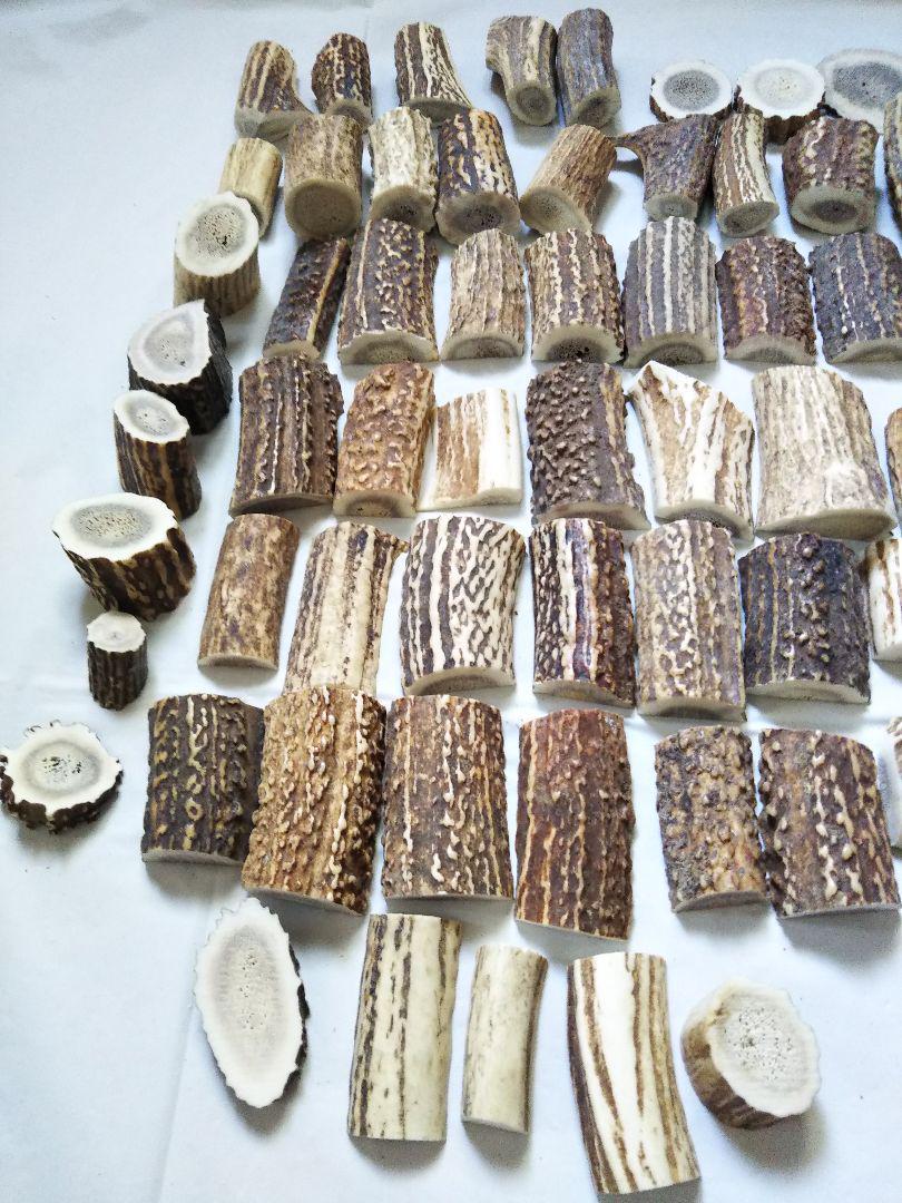 鹿の角 端材 詰め合わせ No.21 エゾ鹿 北海道産 根付け シカ 加工