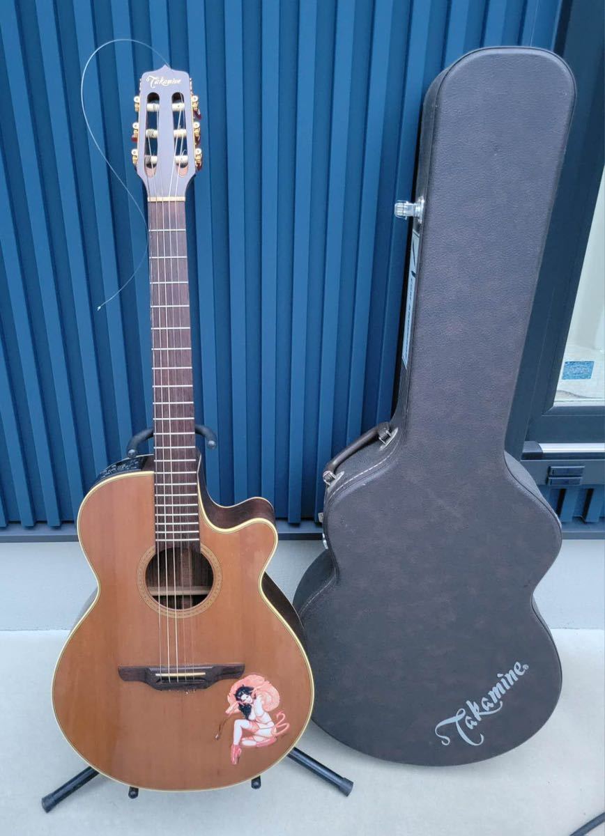 TAKAMINE NPT-110N エレガットギター USA製 セミハードケース付き (01 