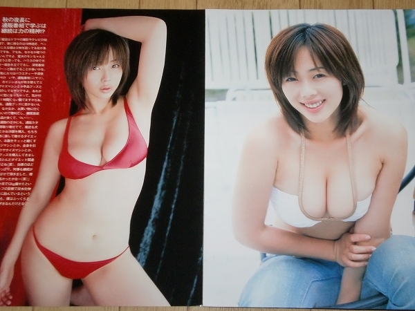 切り抜き】☆井上和香の切り抜き 7ページ分 水着グラビア(タレント