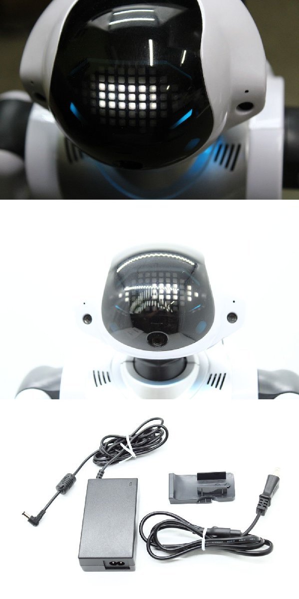 現状品 DMM.make ROBOTS Palmi パルミー PRT-D004JW 二足歩行