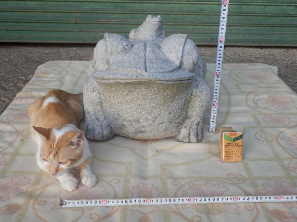超特大！縁起物 コロナに負けずに今日も元気で無事かえる 生きている様 