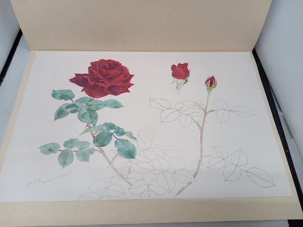 杉山寧素描聚成 全一巻二分冊 特典？付 1992年 小学館