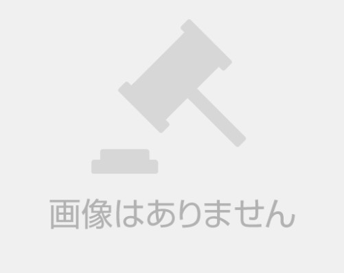 ［正規/新品］桜木ひな２
