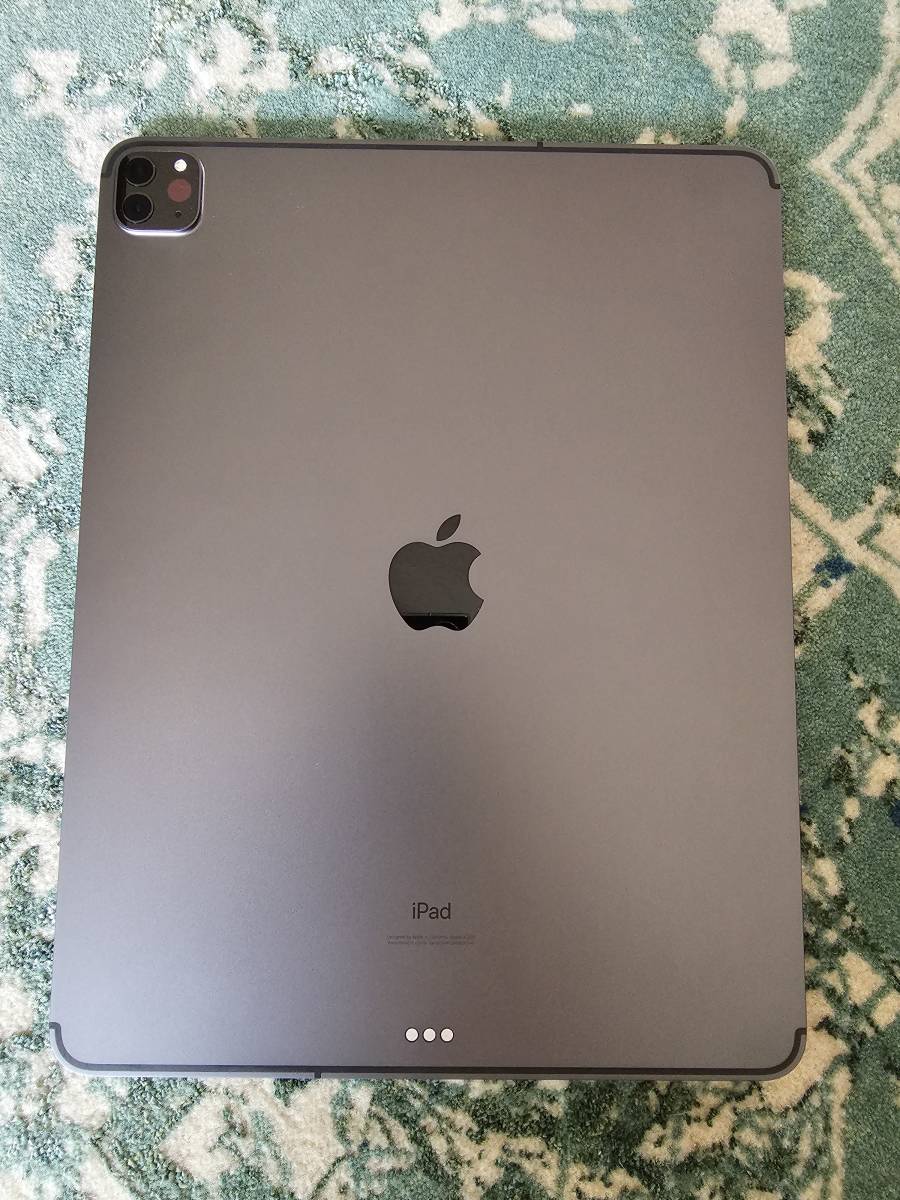 水没ジャンク品 iPad Pro 12.9インチ（第4世代）Wi-Fi + Cellular 1TB