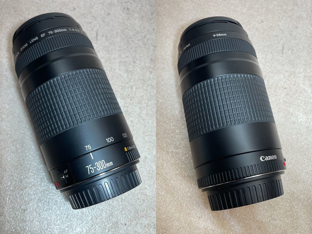 3-93）CANON EF 75-300mm 1:4-5.6 II ズームレンズ