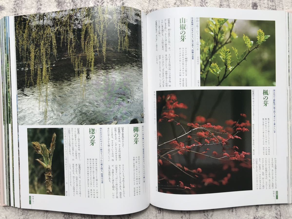 講談社 大判「四季花ごよみ」草木花歳時記 昭和63年 初版本 全5巻セット