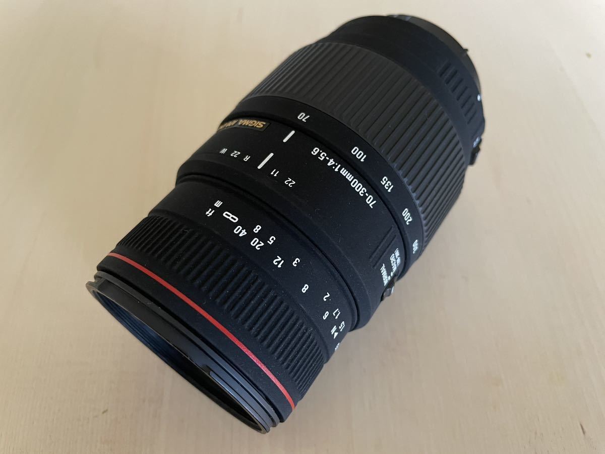 APO DG 70-300mm F4-5.6 MACRO SIGMA シグマ - Sigma F4 0 300mm 